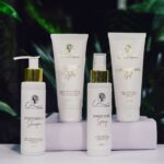 The Curlyverse Kit - Bundle of 4 (100ml)